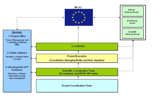 Governance structure of OncoTrack